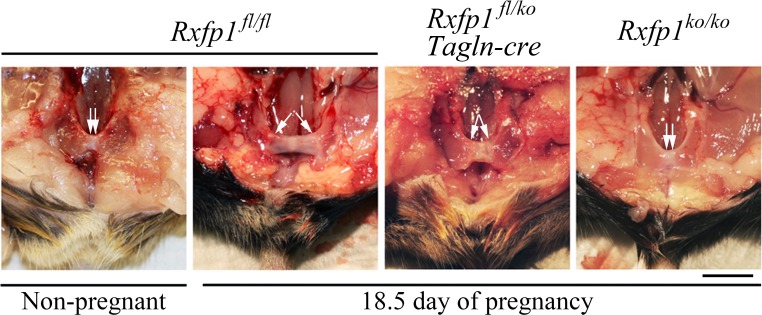 FIG. 4