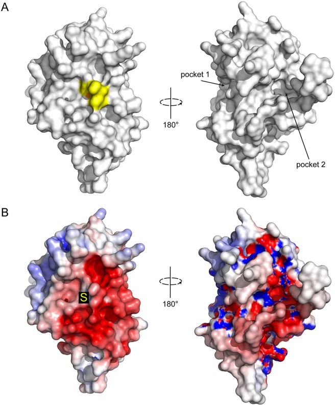 Fig 5