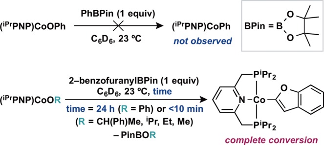 Scheme 4