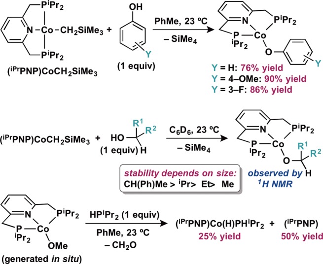 Scheme 3