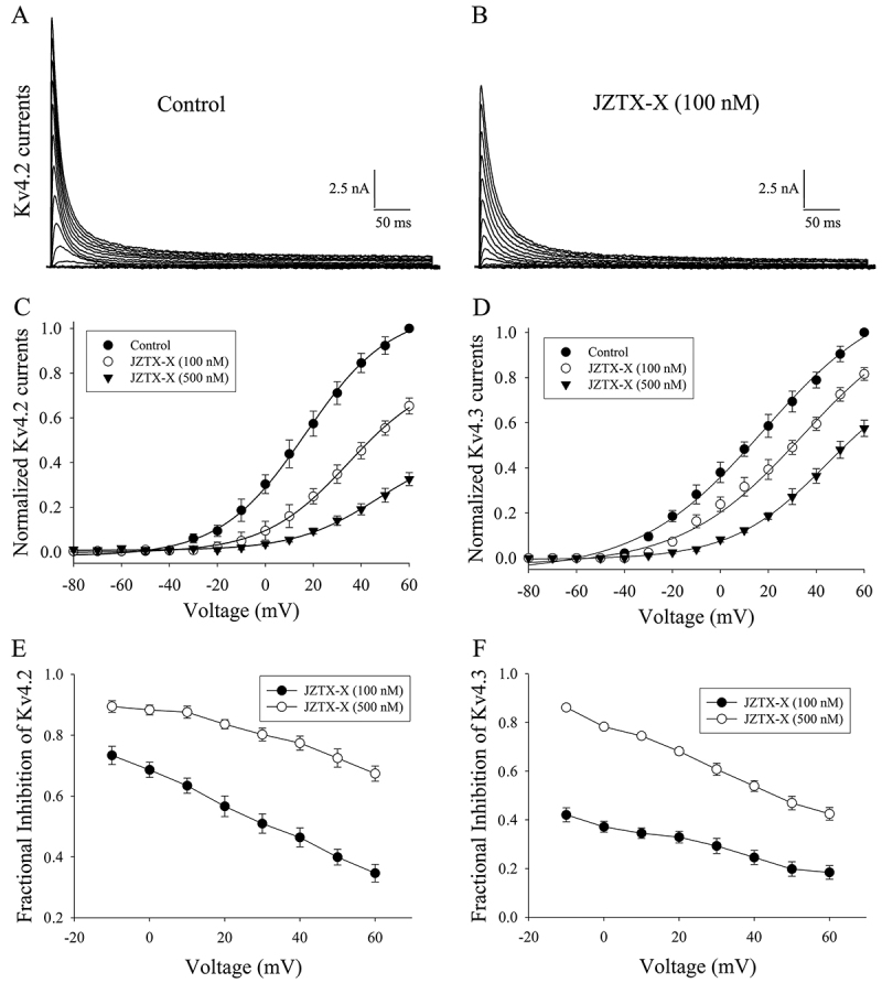 Figure 5.