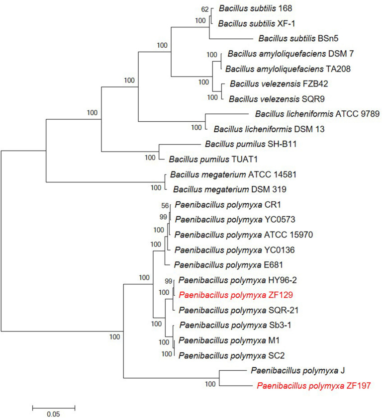 FIGURE 2