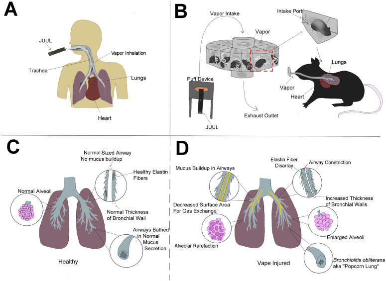 Figure 10.