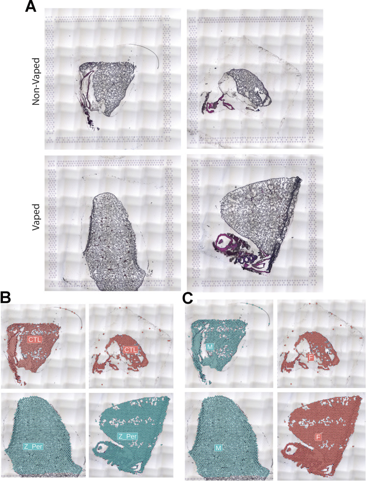 Figure S12.