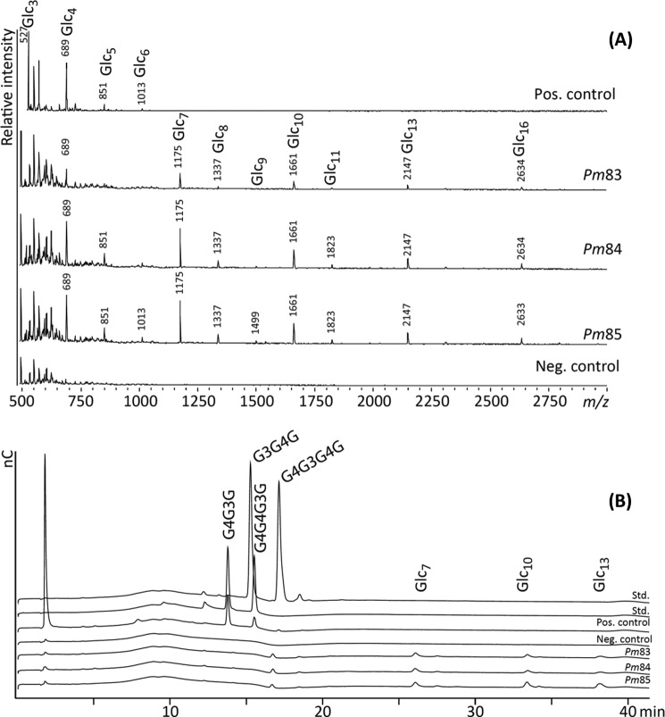 FIGURE 12.