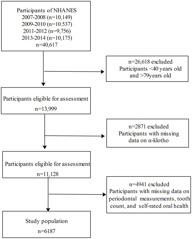 Figure 1