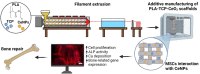 Image, graphical abstract