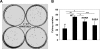 FIGURE 12.