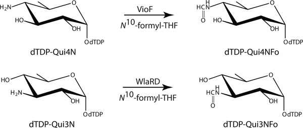 Scheme 3