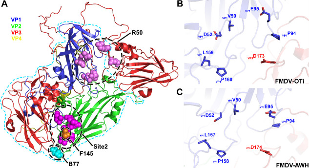 Fig 6