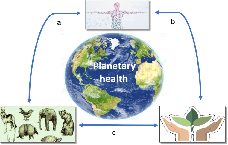 Figure 2