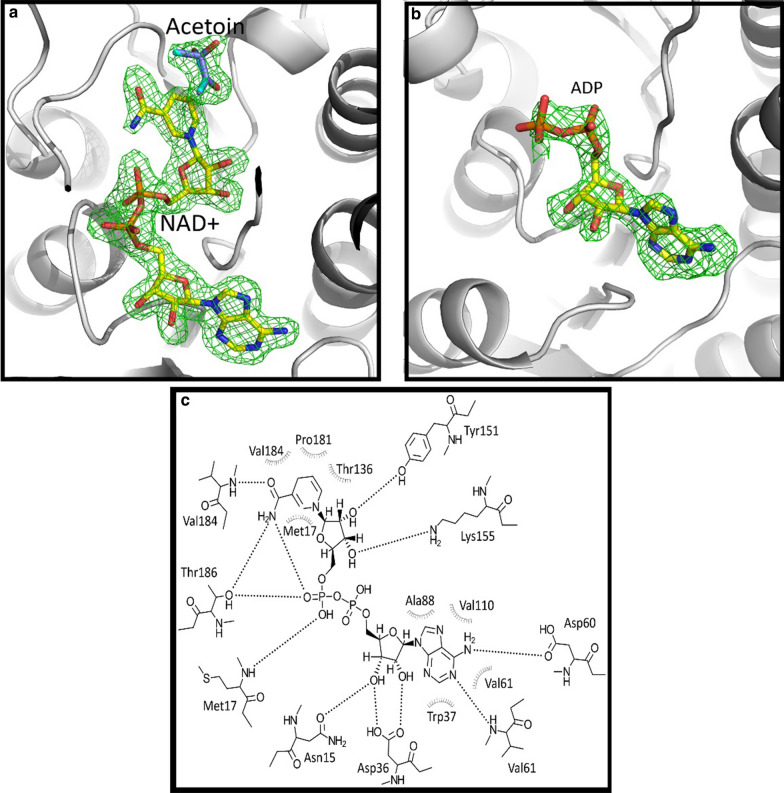 Fig. 3