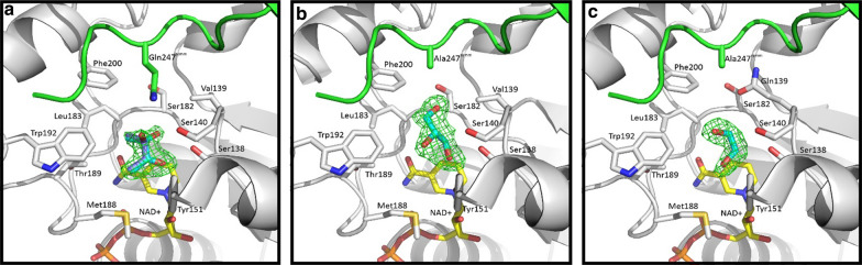 Fig. 7