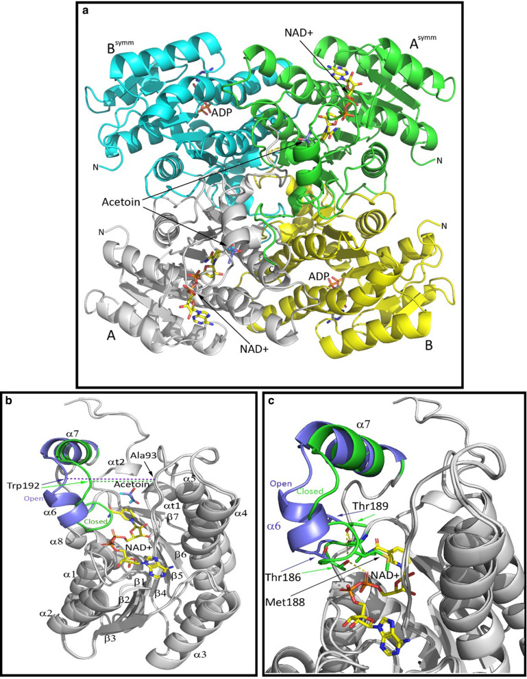 Fig. 2