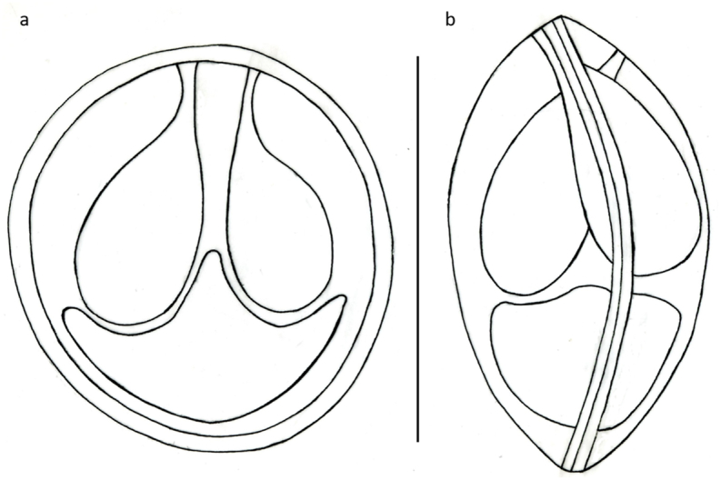 Fig. 10