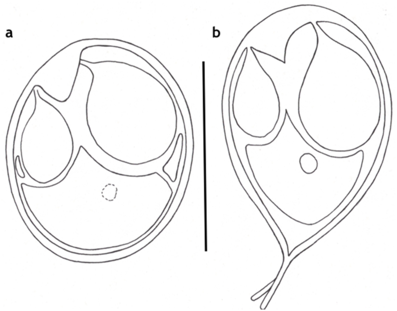 Fig. 13