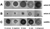 FIG. 6.