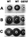 FIG. 2.