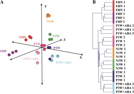 Fig. 3.