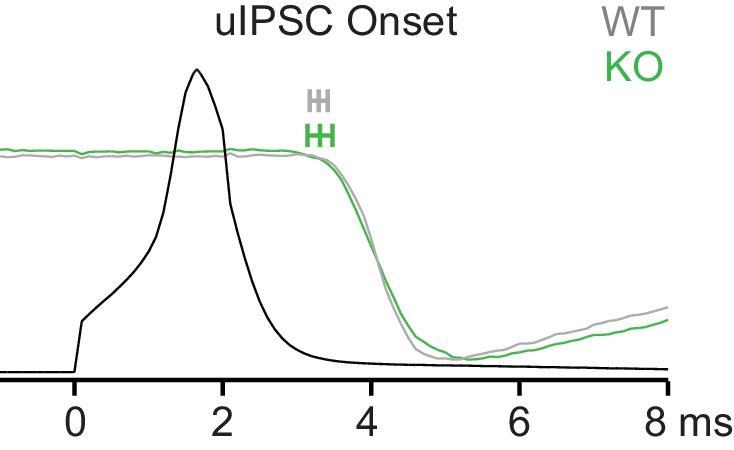 Figure 5—figure supplement 1.