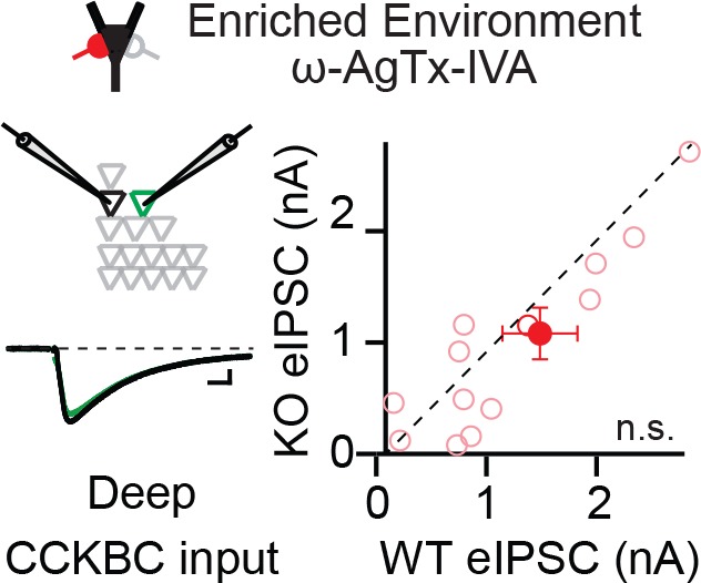 Figure 2—figure supplement 1.