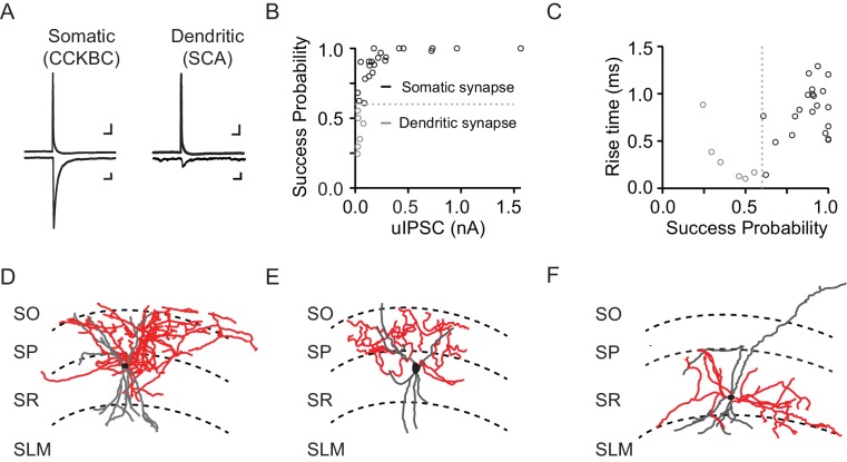 Figure 4—figure supplement 1.