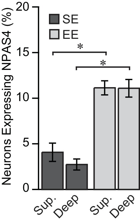 Figure 1—figure supplement 1.