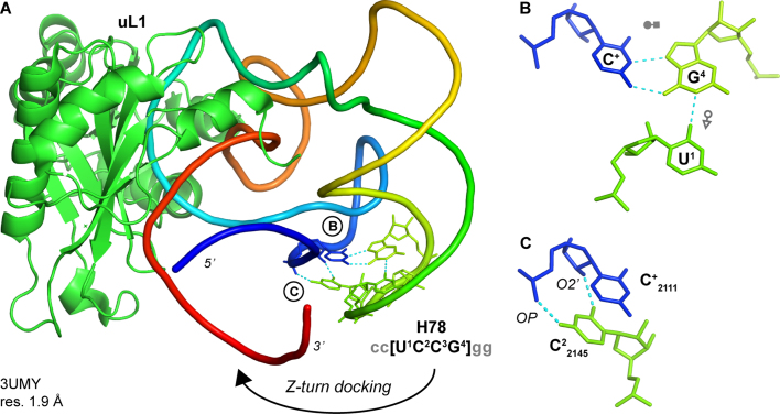 Figure 3.