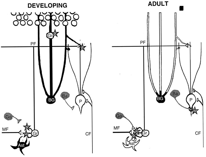 Fig. 10.