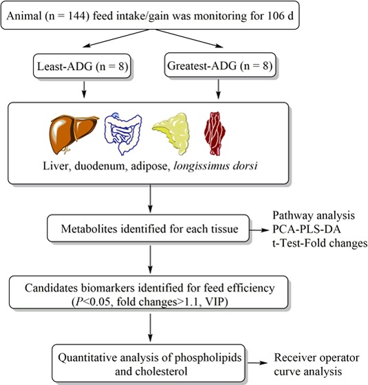 graphic file with name ao-2018-02494k_0002.jpg