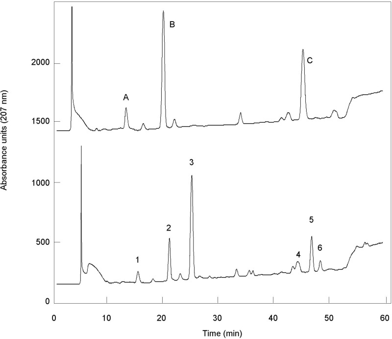 FIGURE 7.