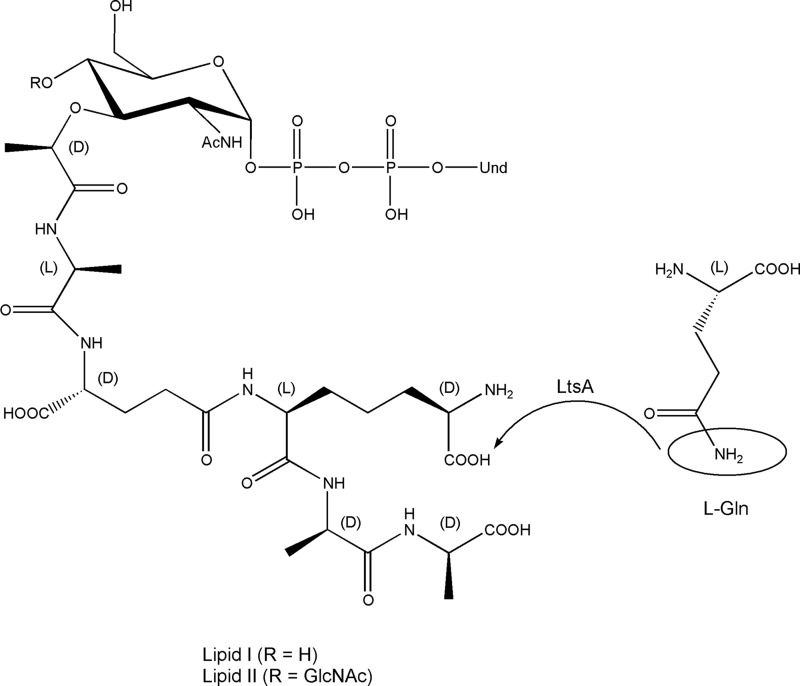 FIGURE 10.