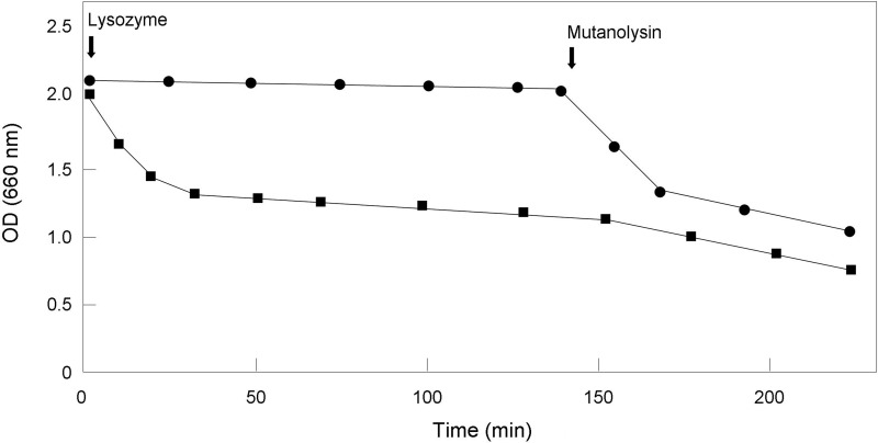 FIGURE 11.