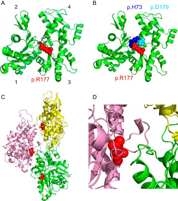 FIGURE 1.