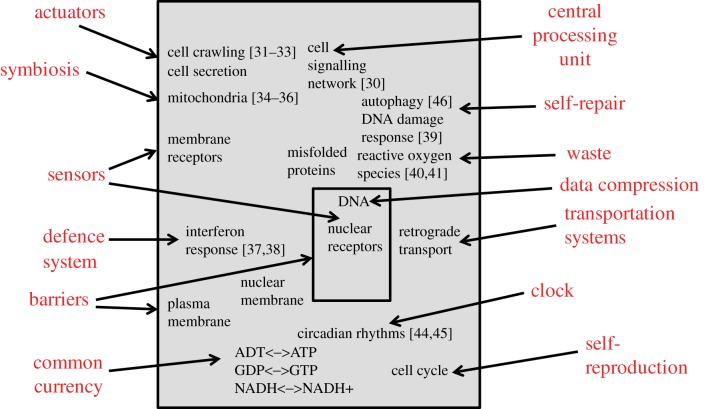 Figure 2.