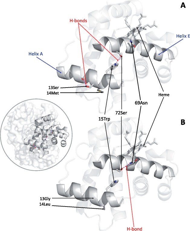 Fig. 5.