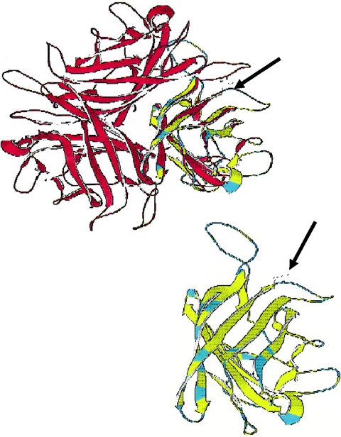 FIG. 10.