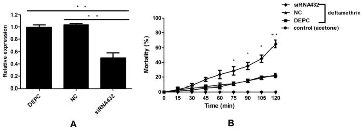 Fig. 8