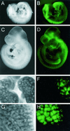 FIG. 7.