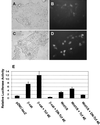 FIG. 4.