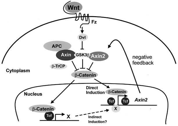 FIG. 8.