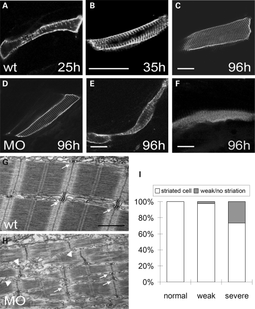 Figure 6.