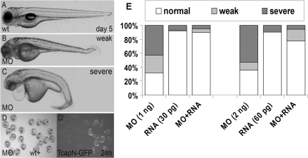 Figure 3.