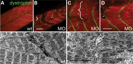 Figure 4.