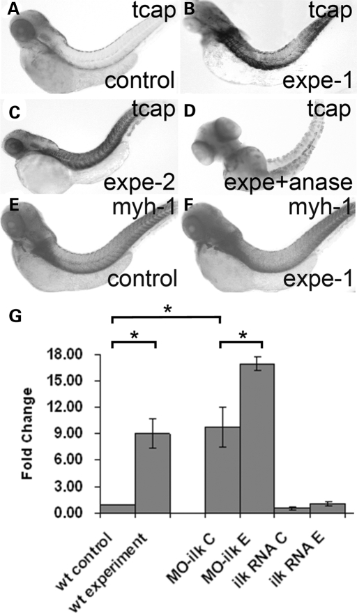 Figure 7.