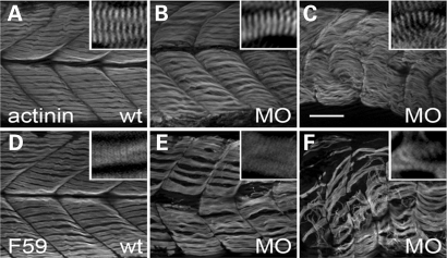 Figure 5.