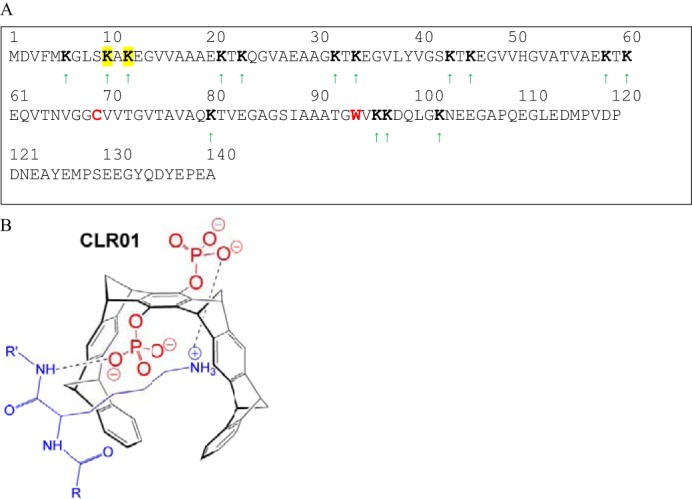 FIGURE 1.