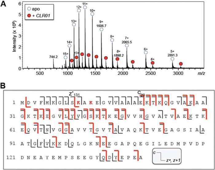 FIGURE 3.