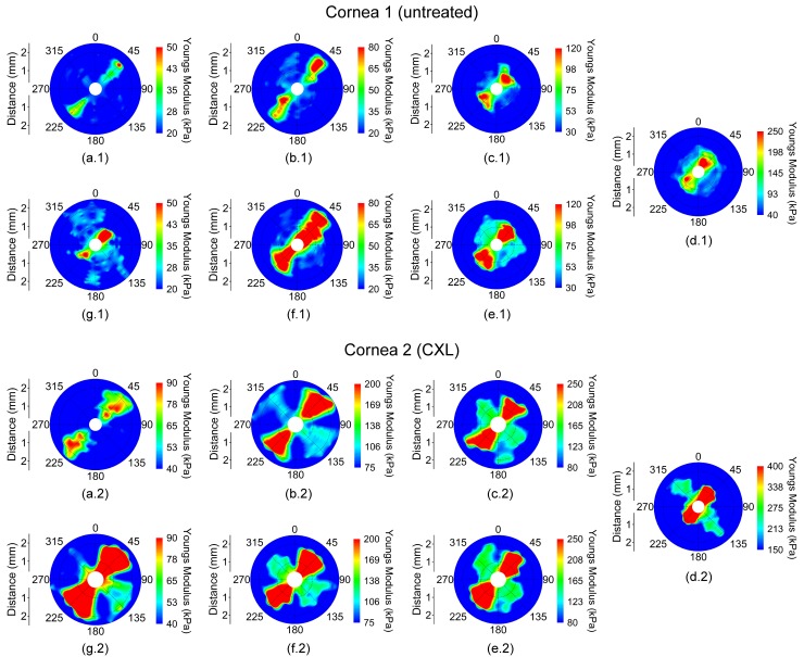 Fig. 2