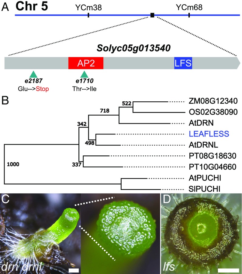 Fig. 4.